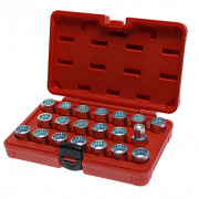 Набор головок для демонтажа секретных болтов VAG, PORSCHE 20ед. 4561 JTC