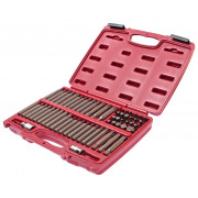 Набір біт TORX, HEX, SPLINE, RIBE, SQ 58од. 3509 JTC