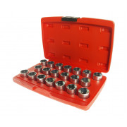 Набор головок для демонтажа секретных болтов BMW 20ед. 4392 JTC